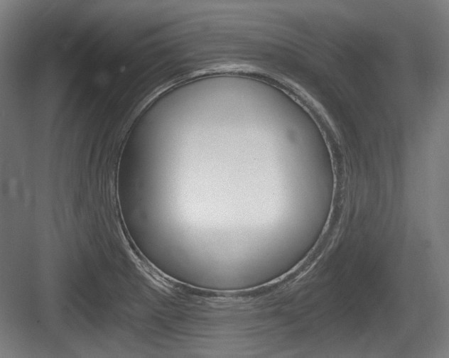 X0000084041281200702160844