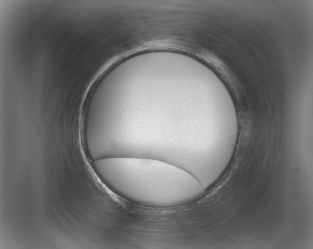 X0000084041286200702160844
