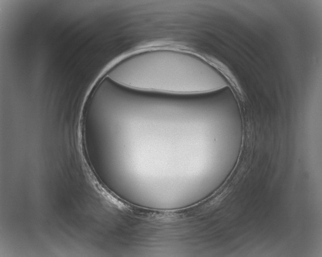 X0000084041288200702160844