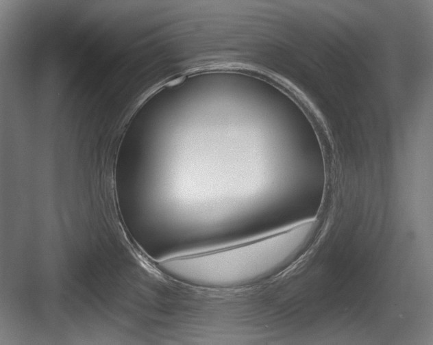 X0000084041289200702160844