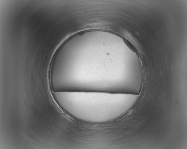 X0000084041291200702160844