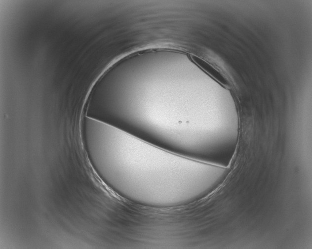 X0000084041292200702160844
