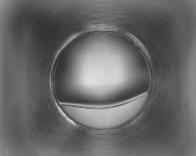 X0000084041293200702160844