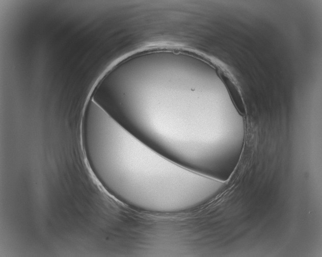X0000084041295200702160843