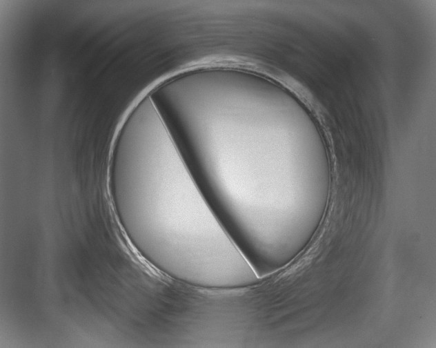 X0000084041296200702160843
