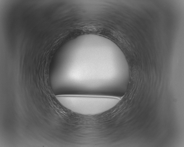 X0000084041297200702160843