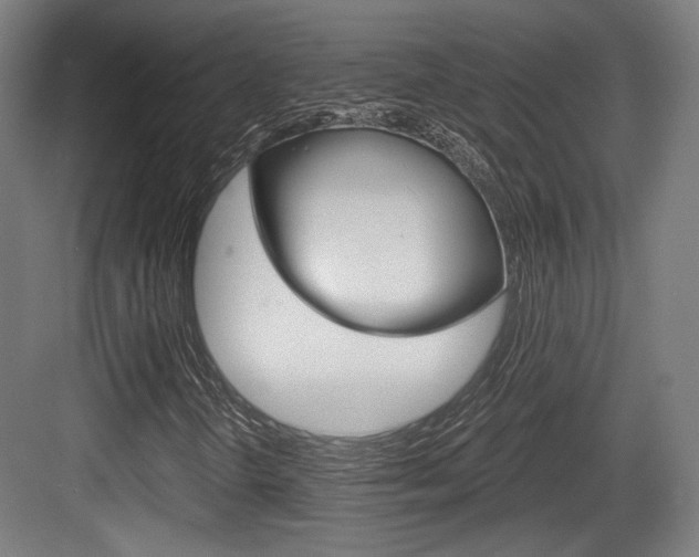 X0000084041298200702160843