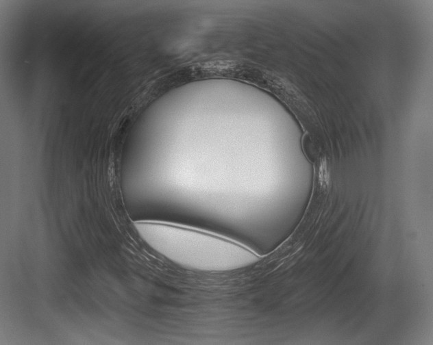 X0000084041299200702160843
