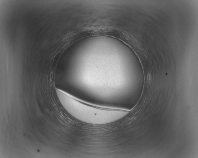 X0000084041300200702160843