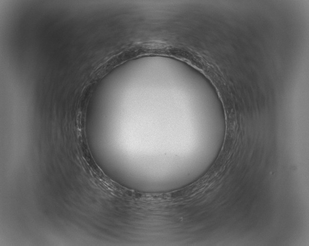 X0000084041301200702160843