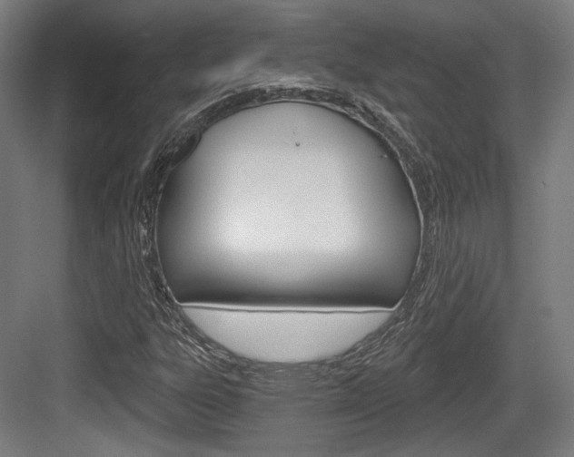 X0000084041303200702160843