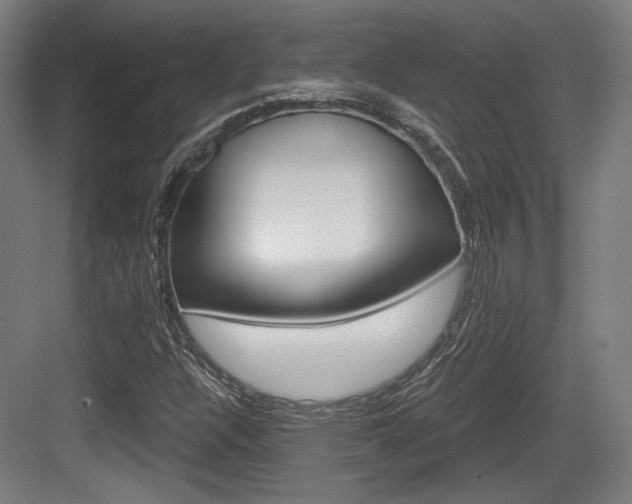 X0000084041304200702160843