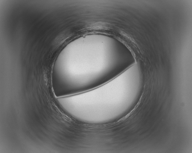 X0000084041305200702160843