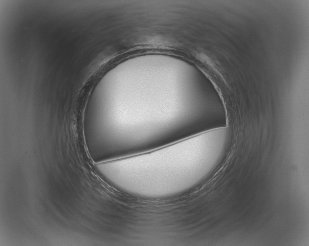 X0000084041307200702160843