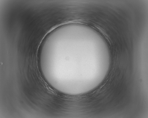 X0000084041308200702160843