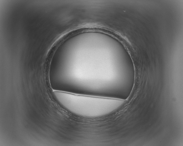 X0000084041311200702160843