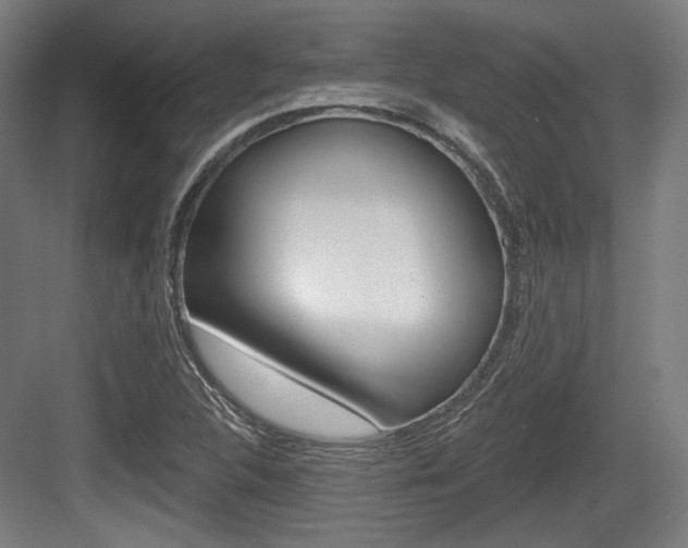 X0000084041312200702160843