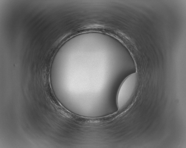 X0000084041313200702160843