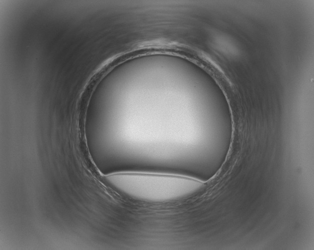 X0000084041315200702160843