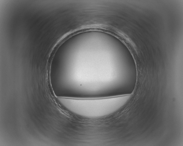 X0000084041316200702160843