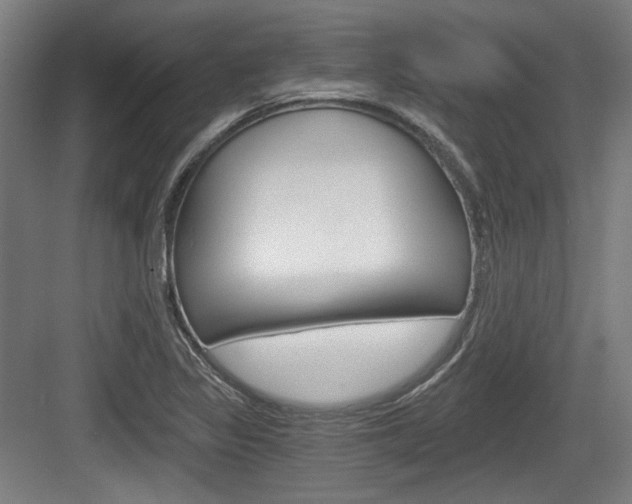 X0000084041317200702160843