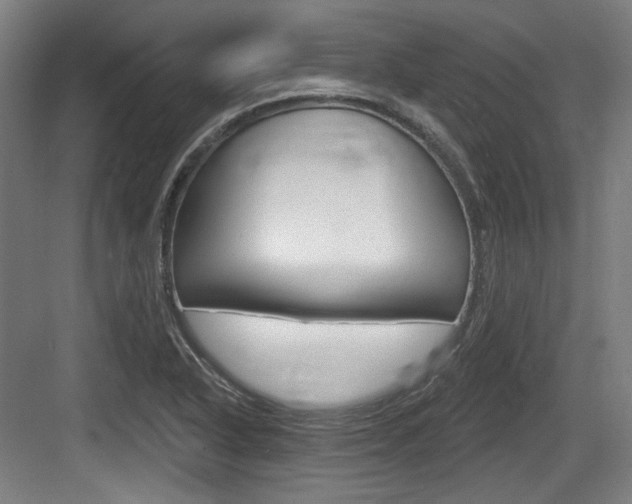 X0000084041318200702160843
