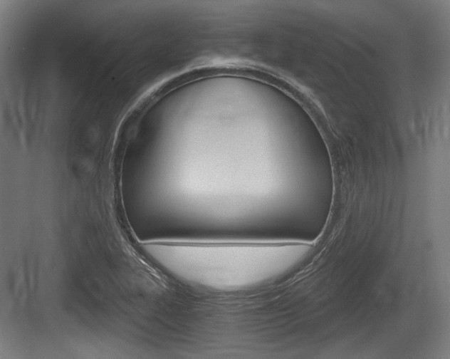 X0000084041319200702160843