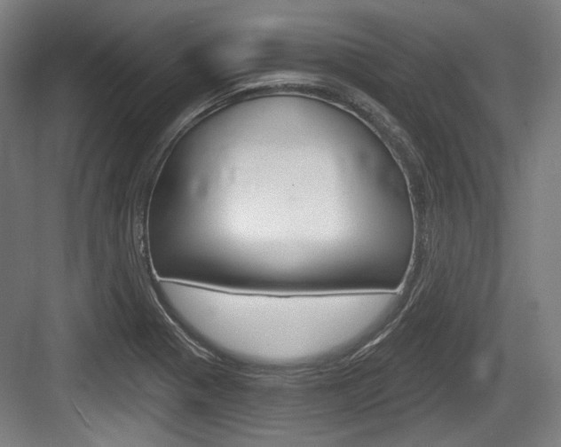 X0000084041321200702160843