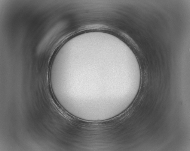 X0000084041322200702160843
