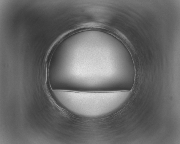 X0000084041323200702160843