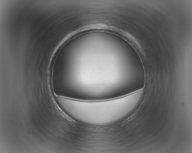 X0000084041326200702160843