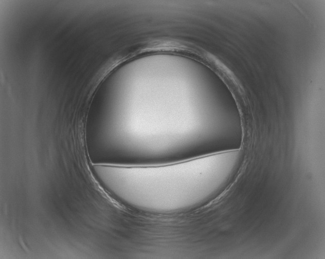 X0000084041329200702160843
