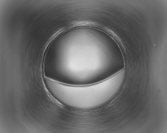 X0000084041330200702160843