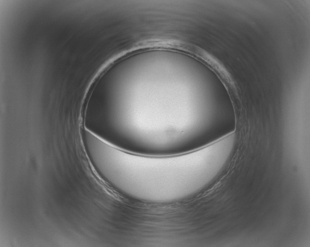 X0000084041332200702160843