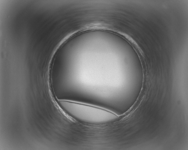 X0000084041333200702160843
