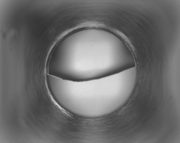 X0000084041335200702160843