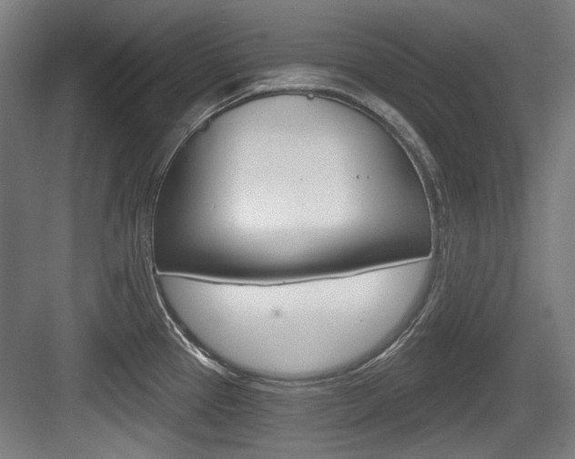X0000084041337200702160843