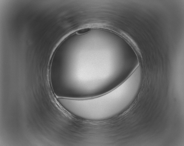 X0000084041340200702160843
