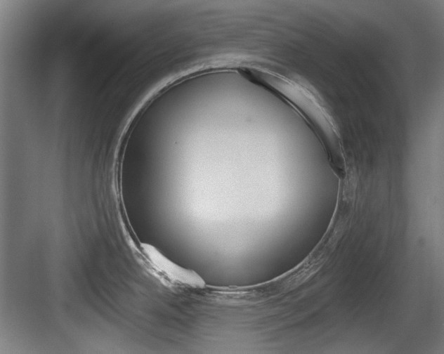 X0000084041342200702160843