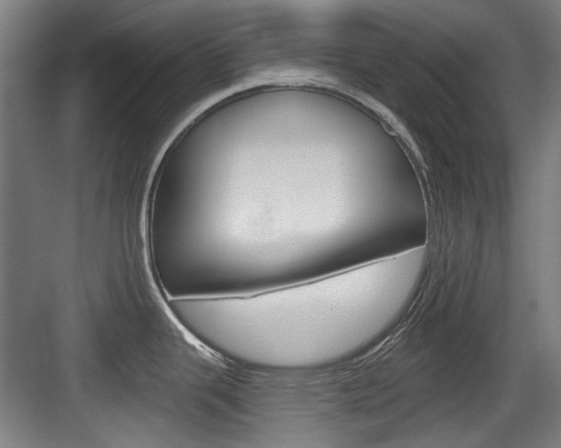 X0000084041343200702160843