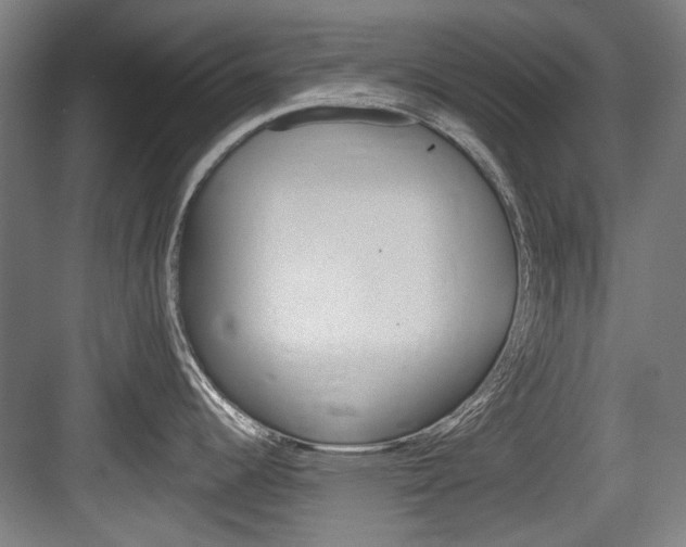 X0000084041344200702160843