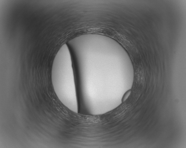 X0000084041346200702160843