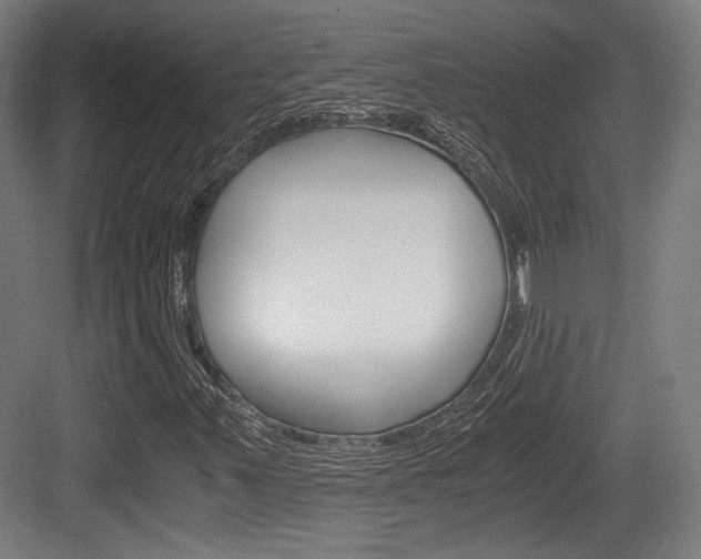 X0000084041347200702160843