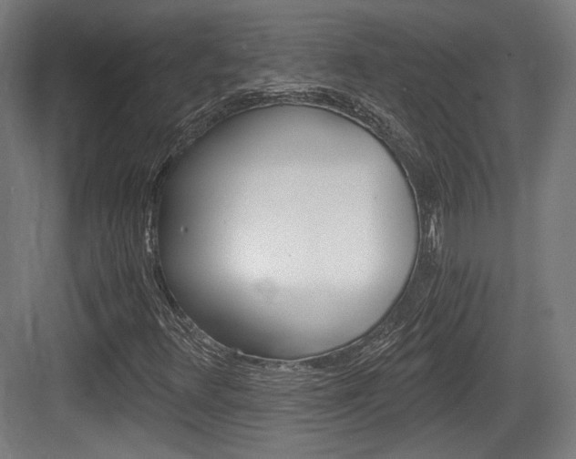 X0000084041348200702160843