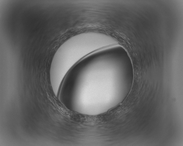 X0000084041349200702160843