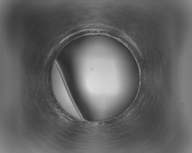 X0000084041352200702160843