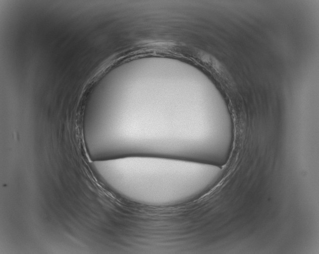 X0000084041354200702160842