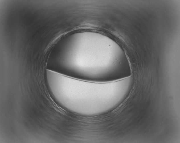 X0000084041355200702160842
