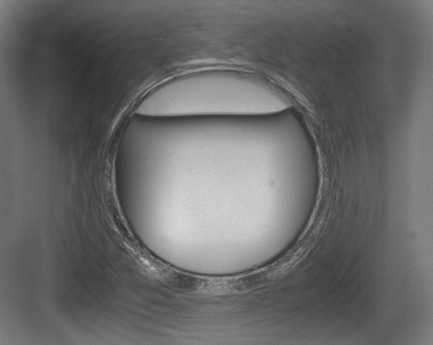 X0000084041357200702160842