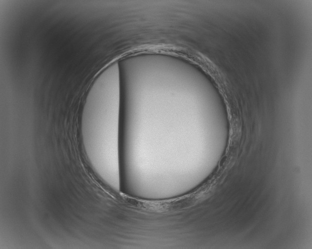 X0000084041361200702160842